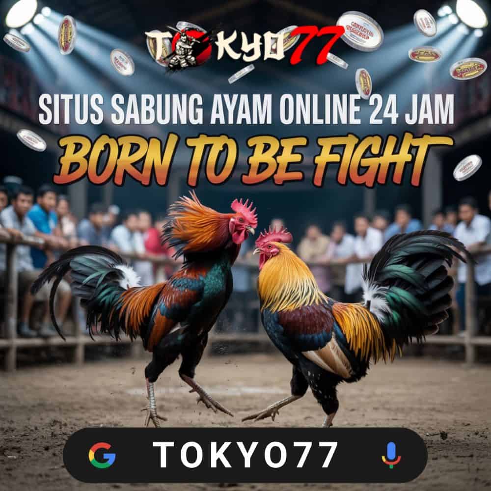 Smart Playing Tips for Togel Beginners in 2025